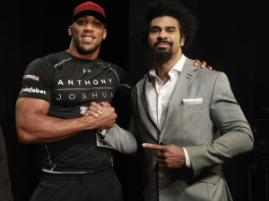 Joshua and Haye