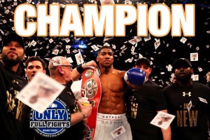 Champion: Anthony Joshua 