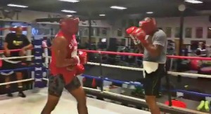 Shannon Briggs sparring before the knockdown 
